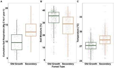 Greater soil carbon losses from secondary than old-growth tropical forests